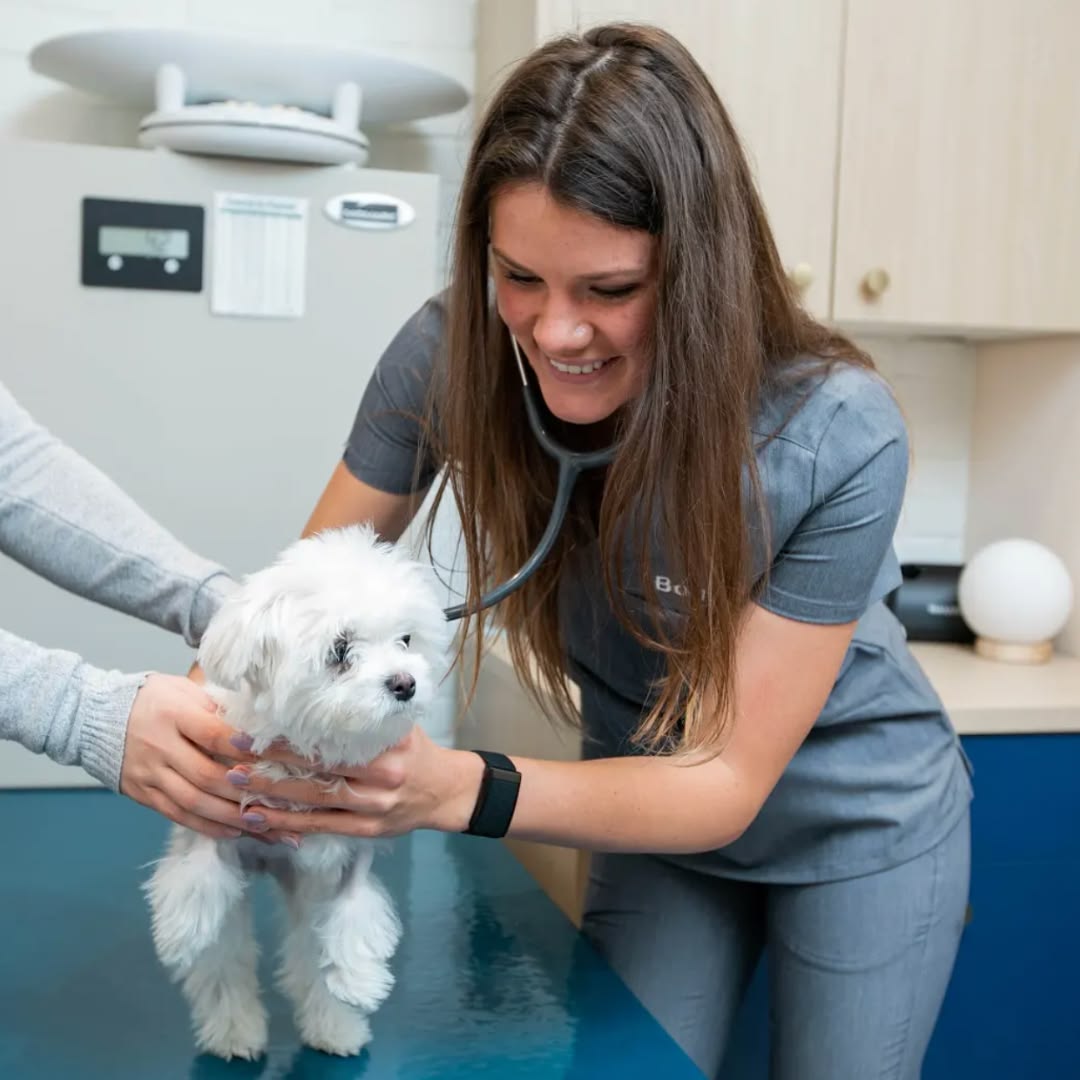 Happy Pet Care