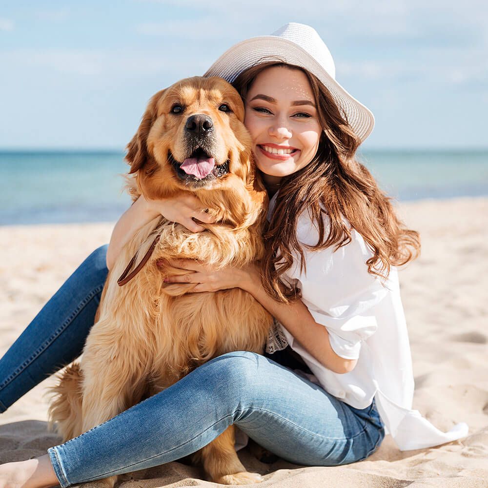 Pet Safety