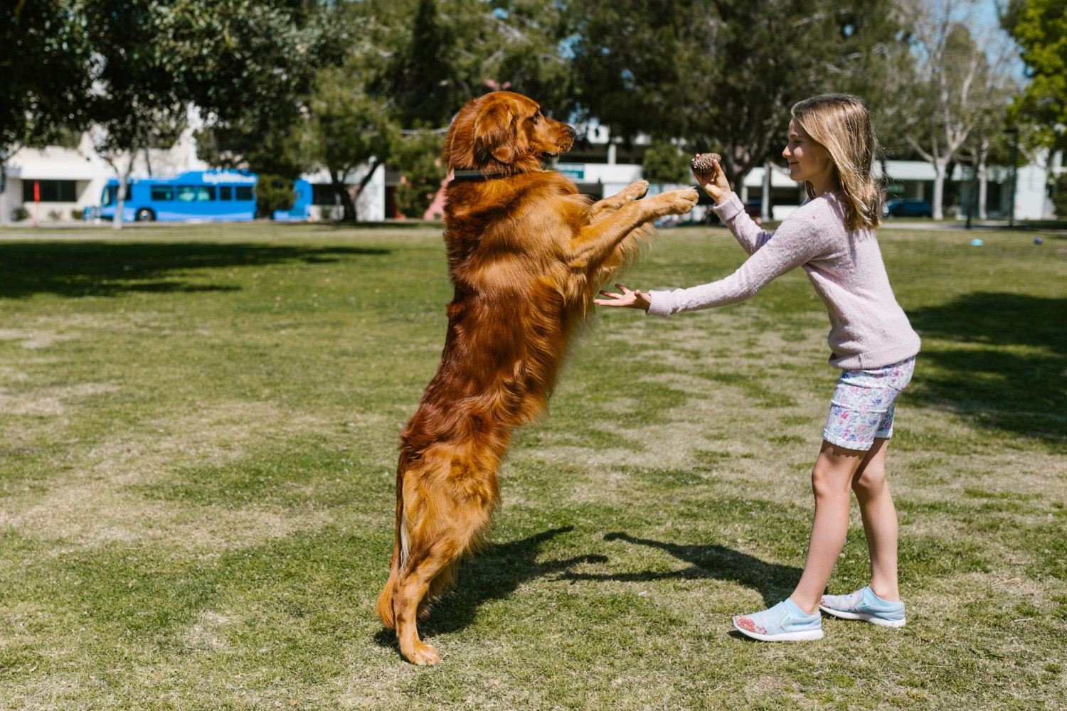 Pet Care Tips