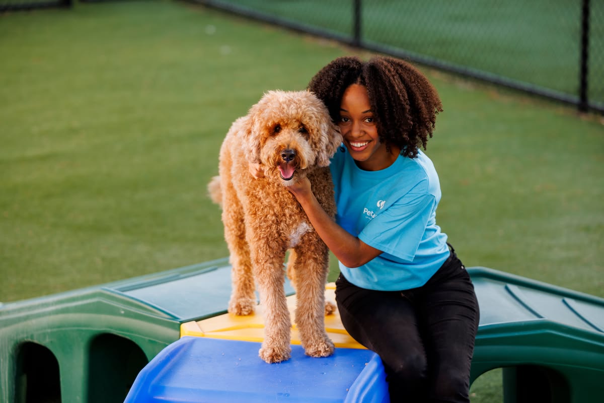 Pet Daycare