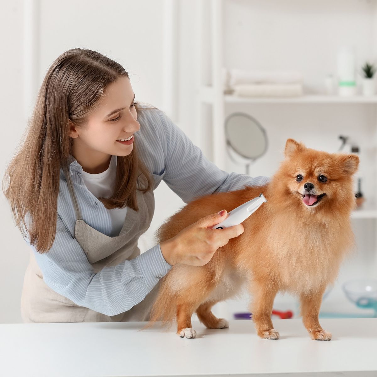 Pet Grooming