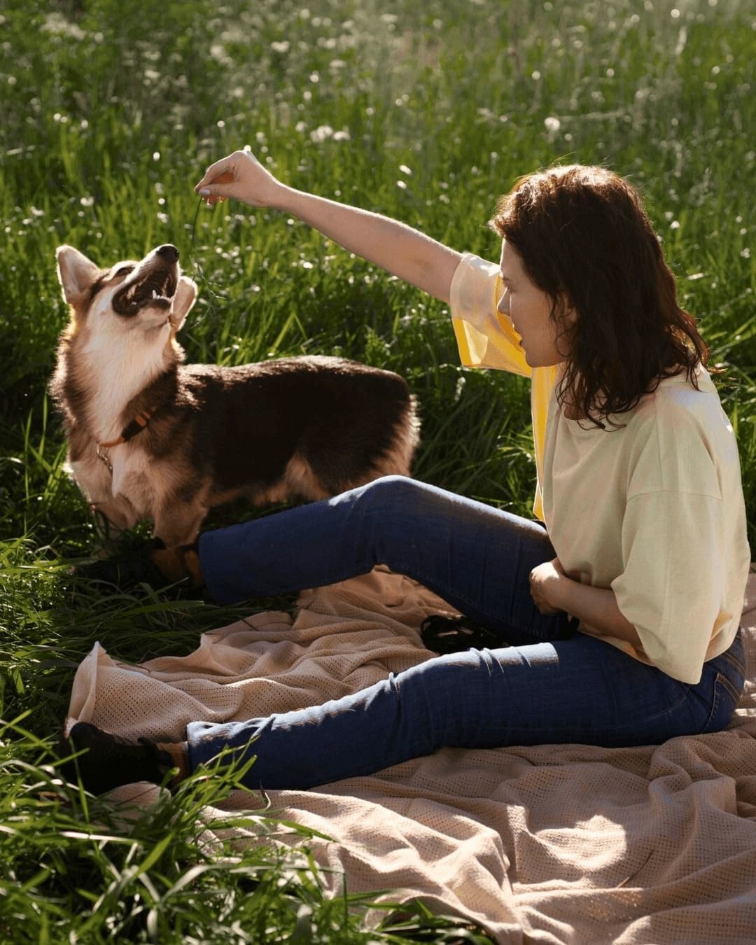 Loving Pet Care