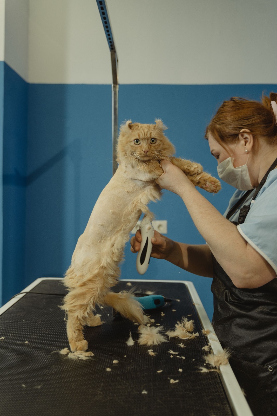 Natural Happy Pet Grooming