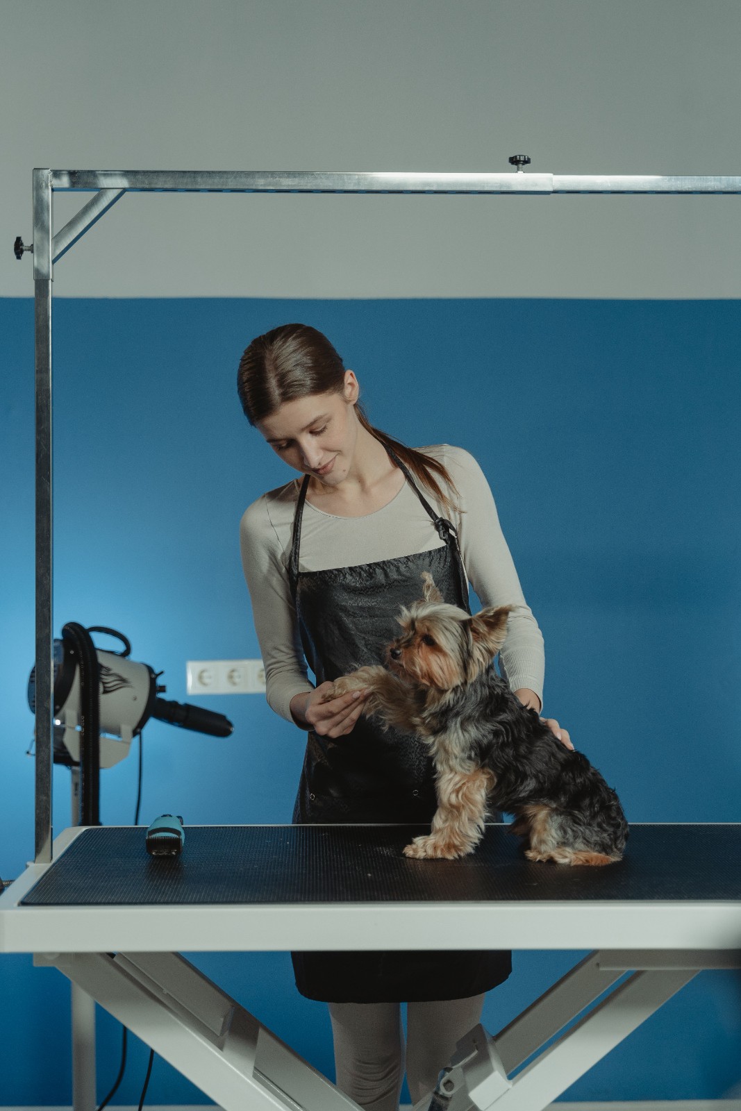 Natural Happy Pet Grooming