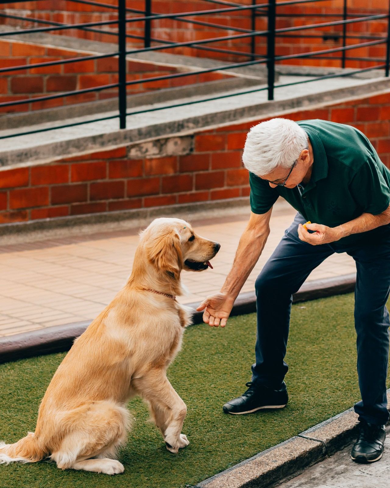 Natural Happy Pet Training