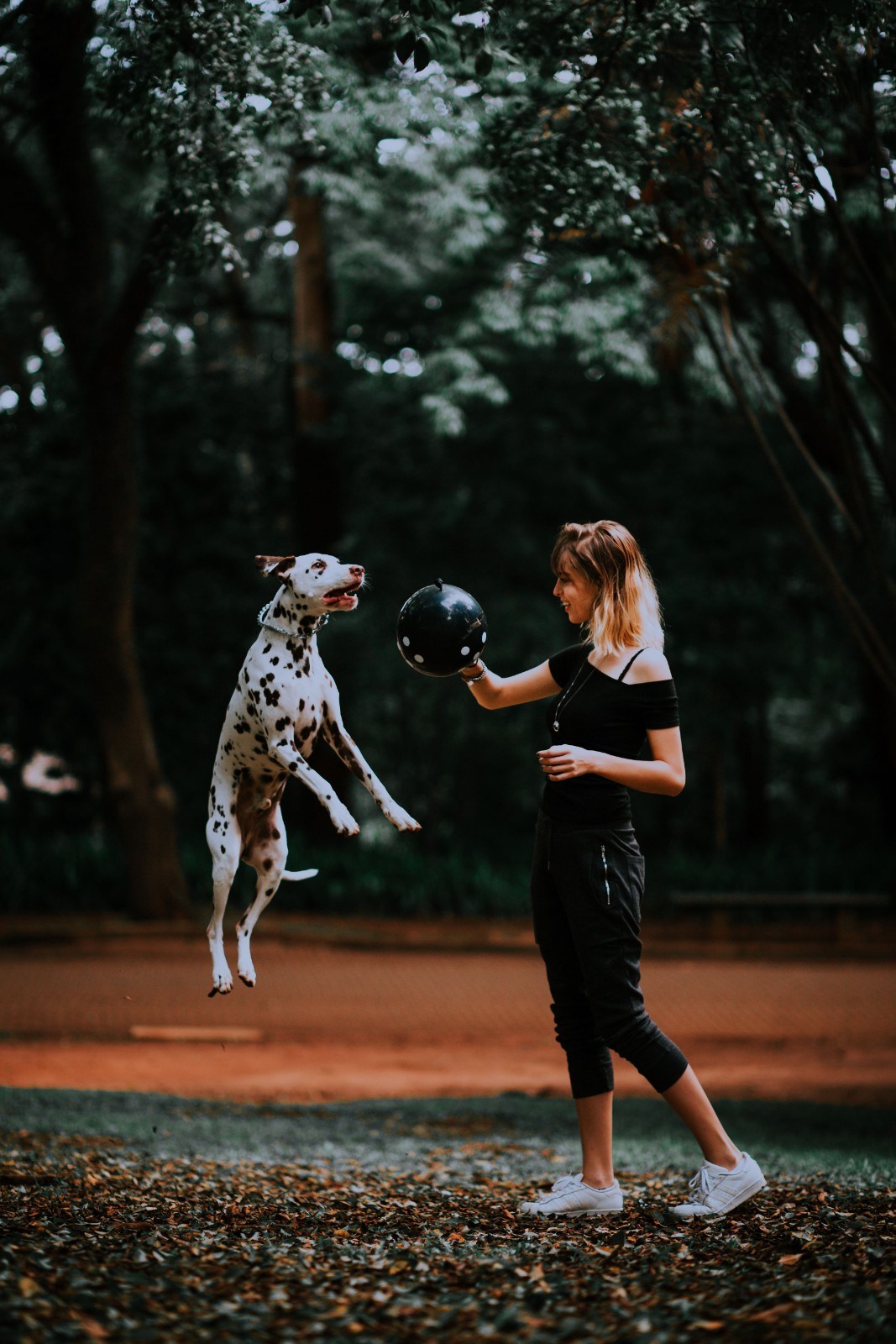 Natural Happy Pet Training
