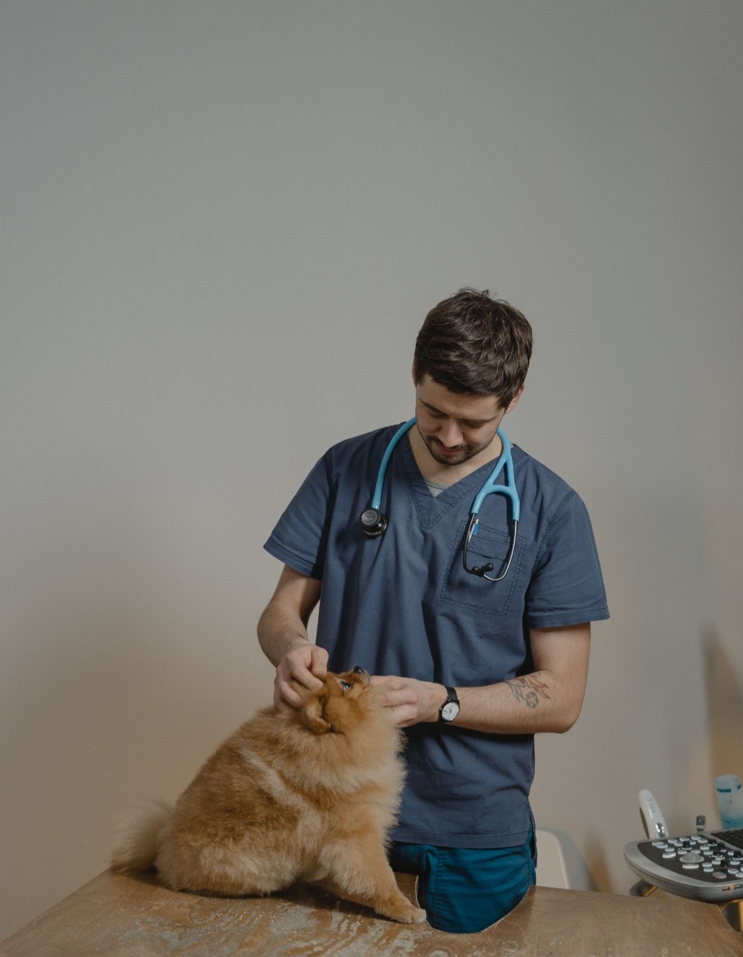 Natural Happy Pet Veterinary Care