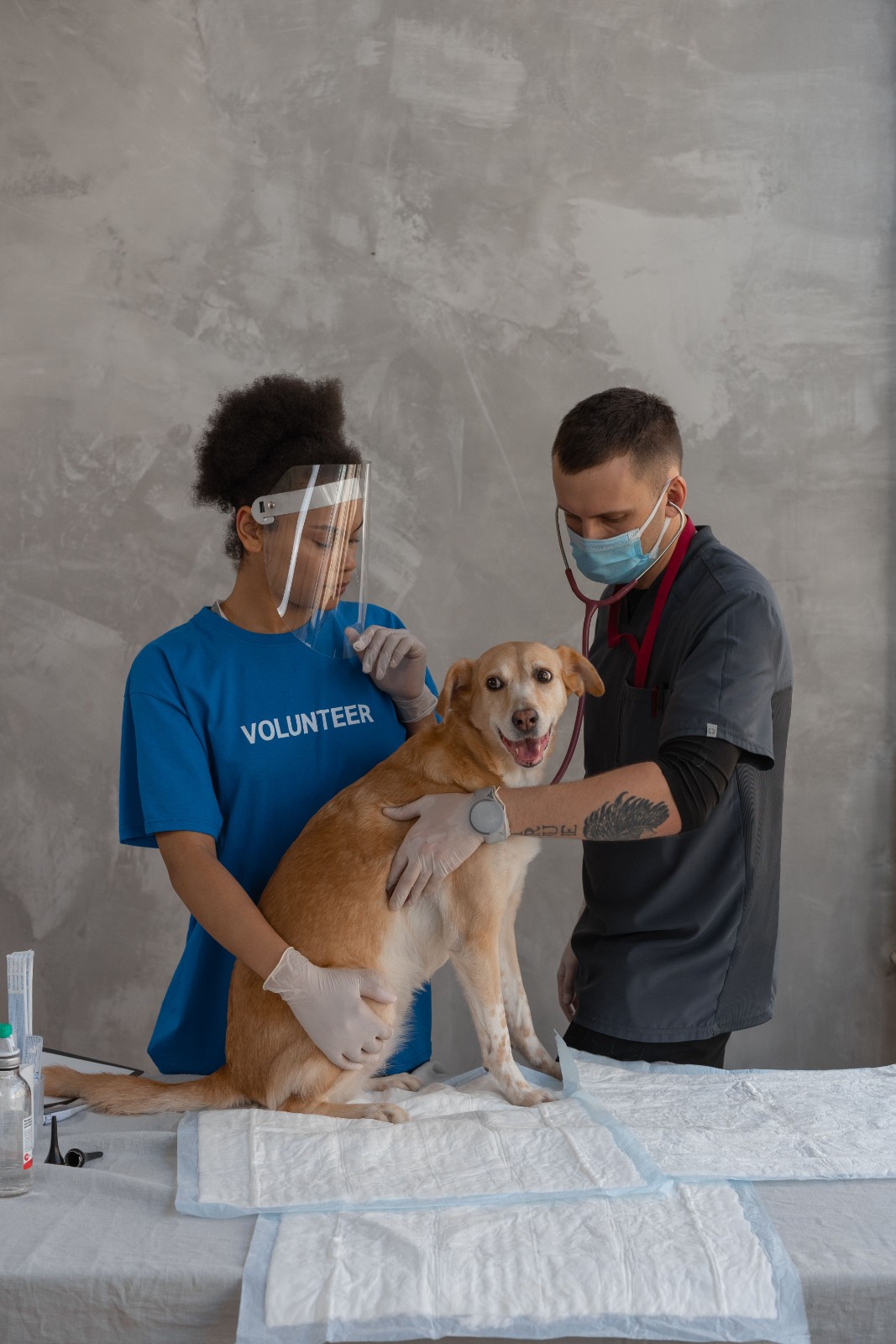Natural Happy Pet Veterinary Care